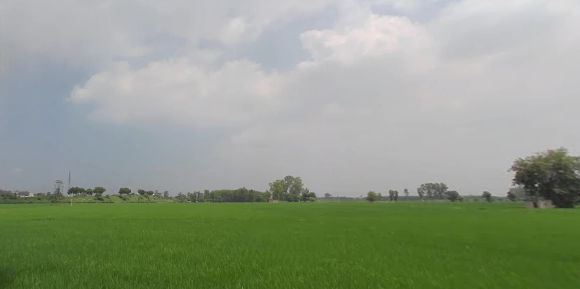 Ladhowal, Punjab 141008, India