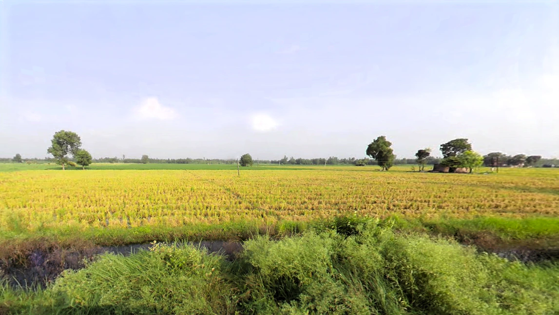 Nakur, Uttar Pradesh 247342, India