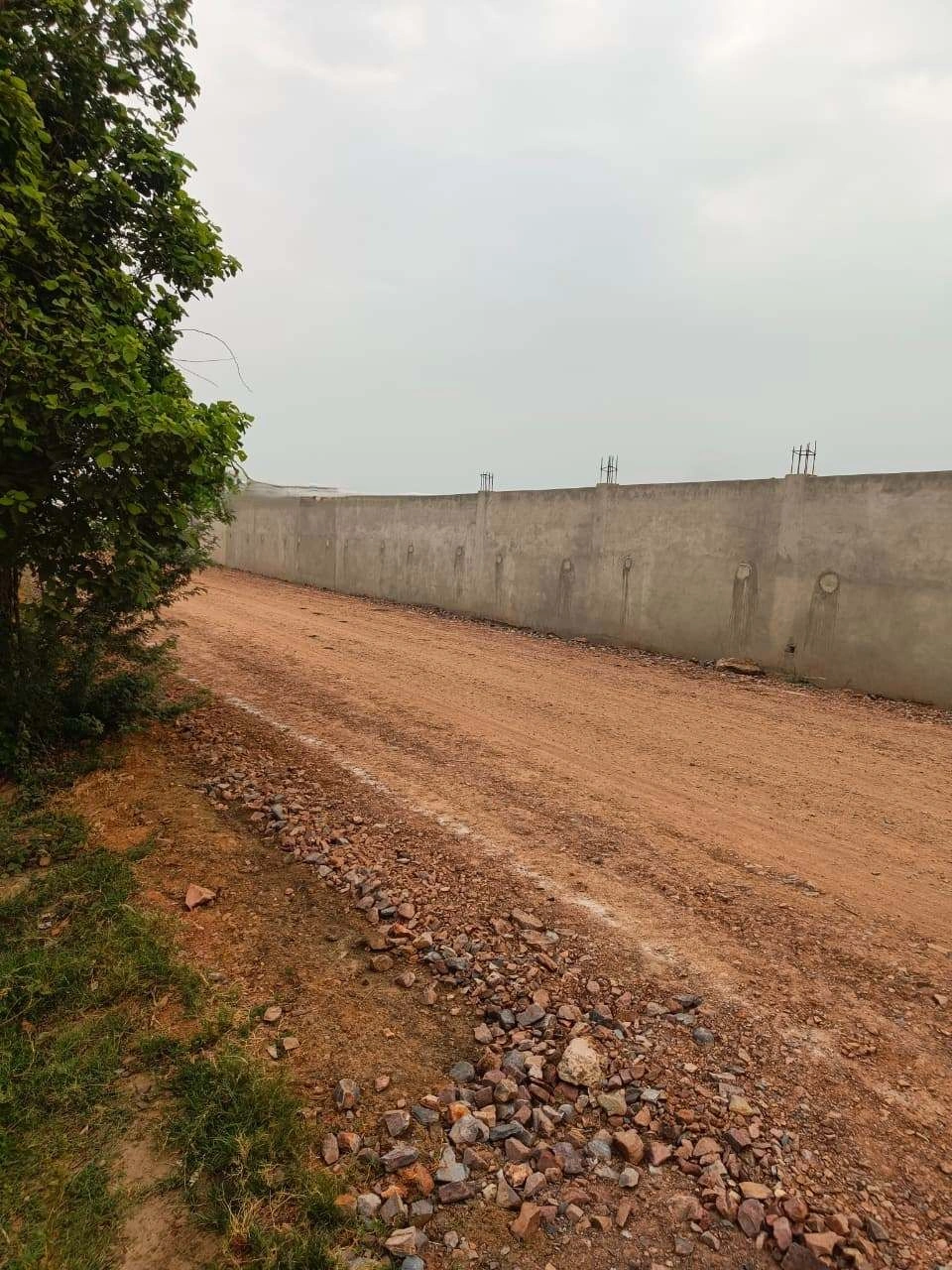 Adampur, Uttar Pradesh, India