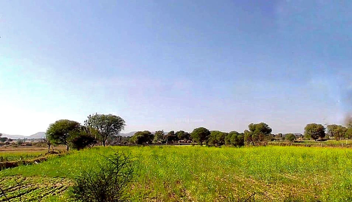 7XFG+554, Lakher, Rajasthan 303104, India
