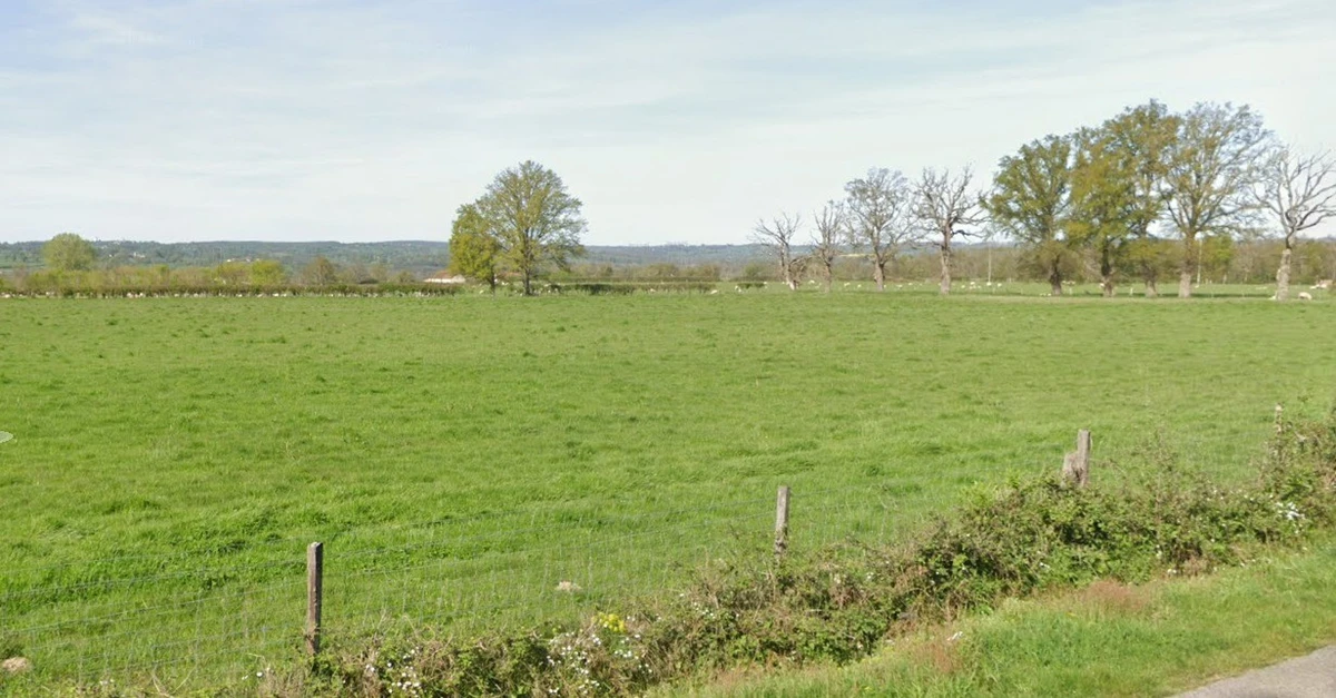 Sanwer, Madhya Pradesh 453551, India