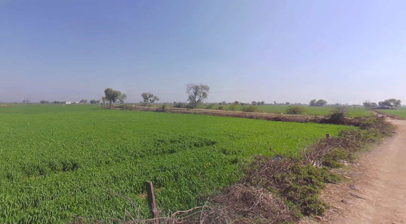 Beebanwa, Rajasthan 323001, India