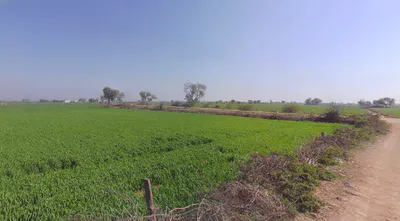Beebanwa, Rajasthan 323001, India preview 3