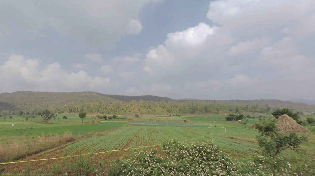 H6FG+FCP, Nayapura, Madhya Pradesh, India