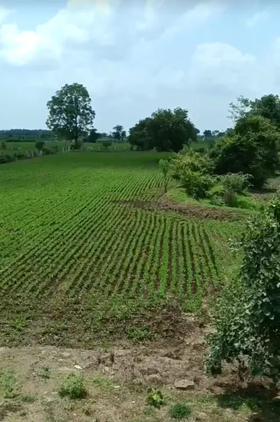 85GV+62 Titodi, Ujjain, Madhya Pradesh, India preview 3