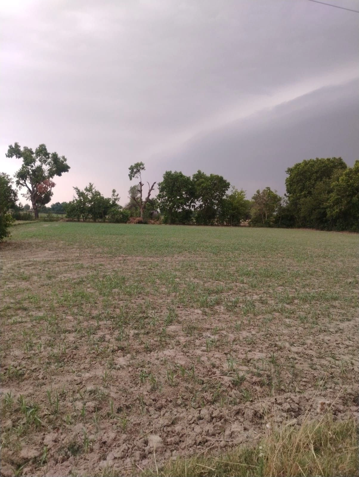 Chhabila Pur, Bihar 803116, India