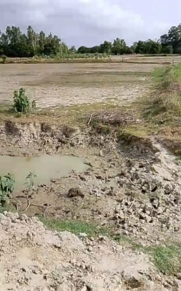RFGF+JM7, Miyanganj, Kanigaon, Uttar Pradesh 209870, India