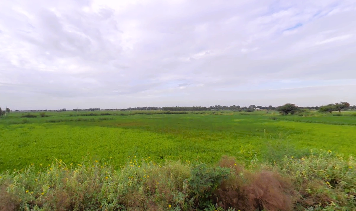 Matanhail, Haryana 124106, India