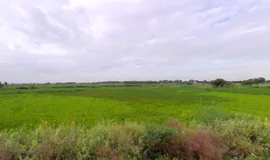 Matanhail, Haryana 124106, India preview 3