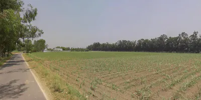 Dhanaura, Uttar Pradesh 244231, India preview 2