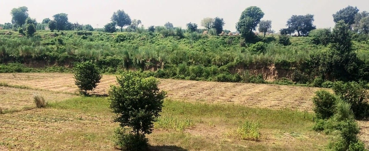 Jawli, Rajasthan 321607, India