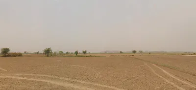 FQGV+9MX, Nasopur, Rajasthan 301001, India preview 2