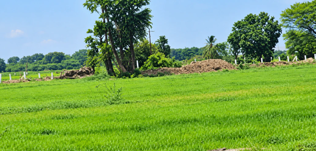 HP7Q+JQ7, Yadadri Bhuvanagiri, Bhuvanagiri, Bommalaramaram, Telangana 508126, India