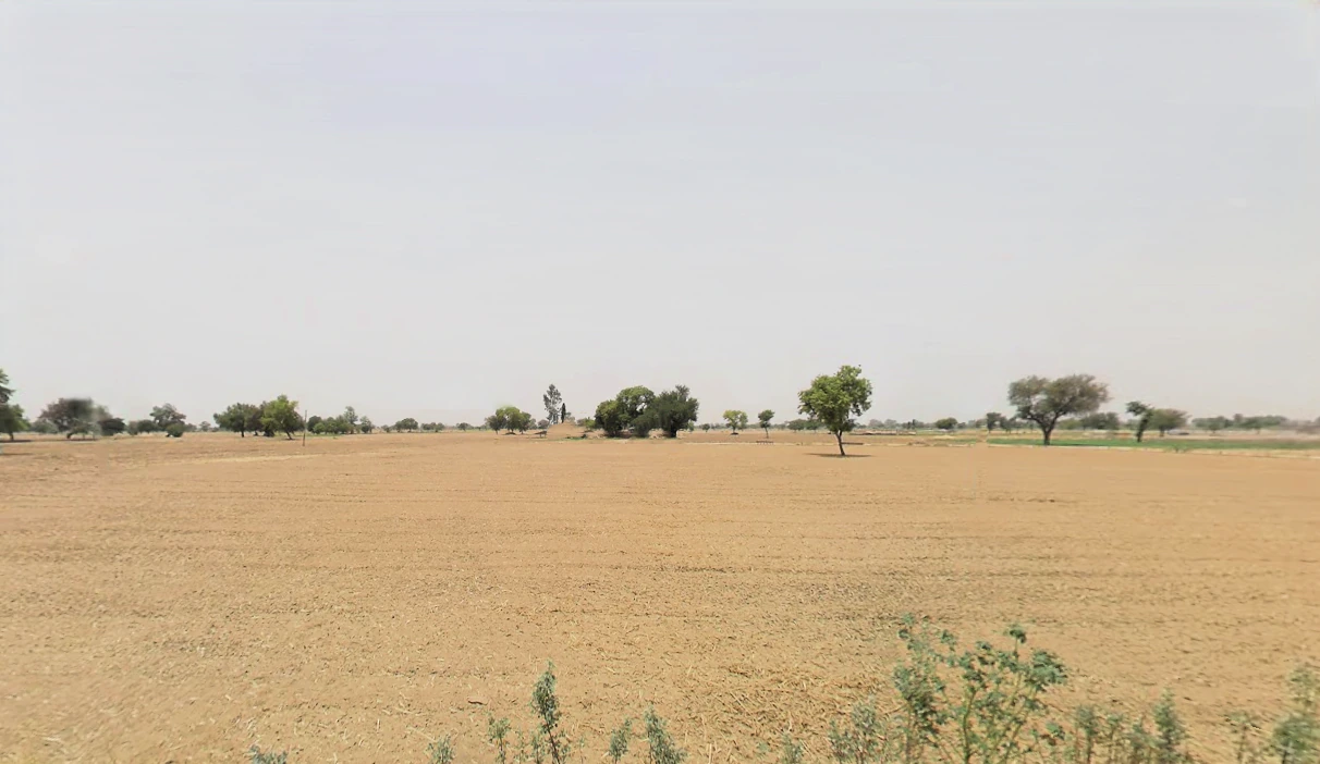 Goria, Haryana 124142, India
