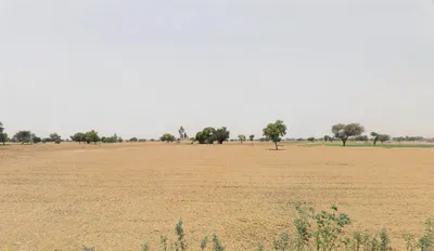 Goria, Haryana 124142, India preview 3