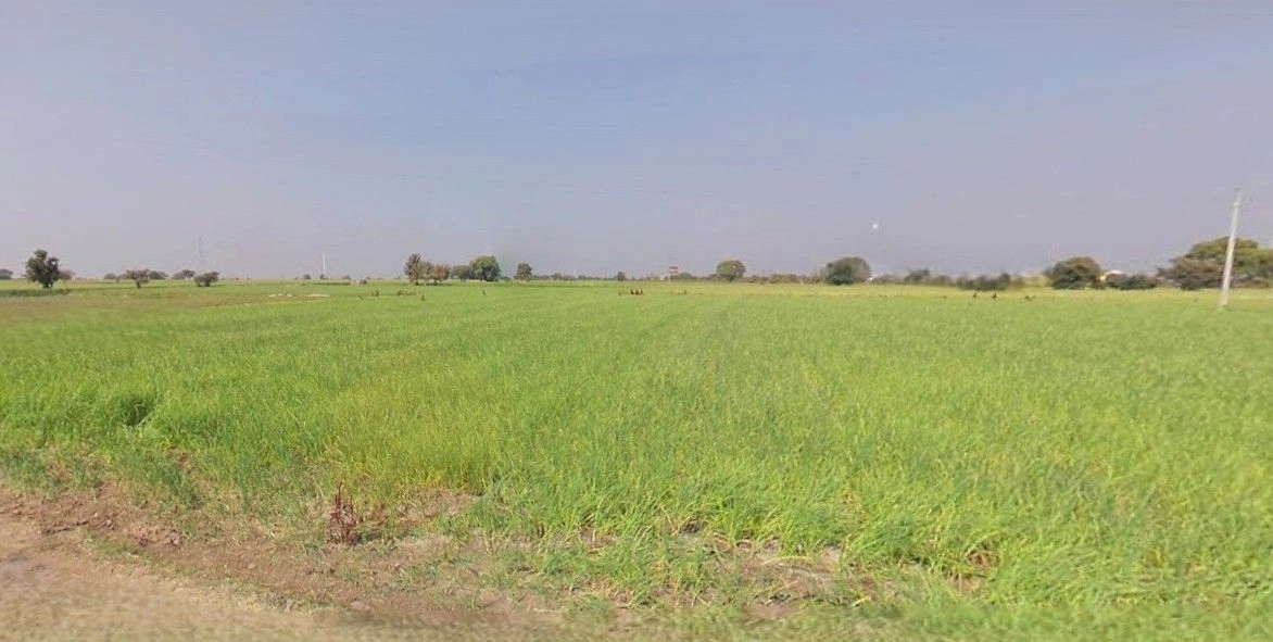 Timarni, Madhya Pradesh 461228, India