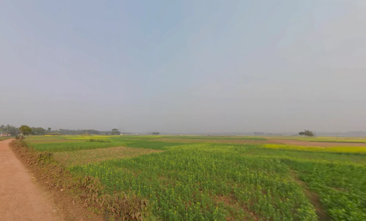 Action Area II, Newtown, New Town, West Bengal, India