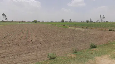 Lalpur, Uttar Pradesh, India preview 2