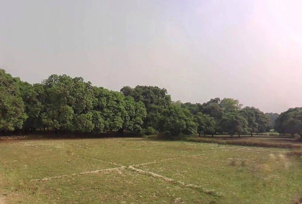 Malihabad, Uttar Pradesh 226102, India