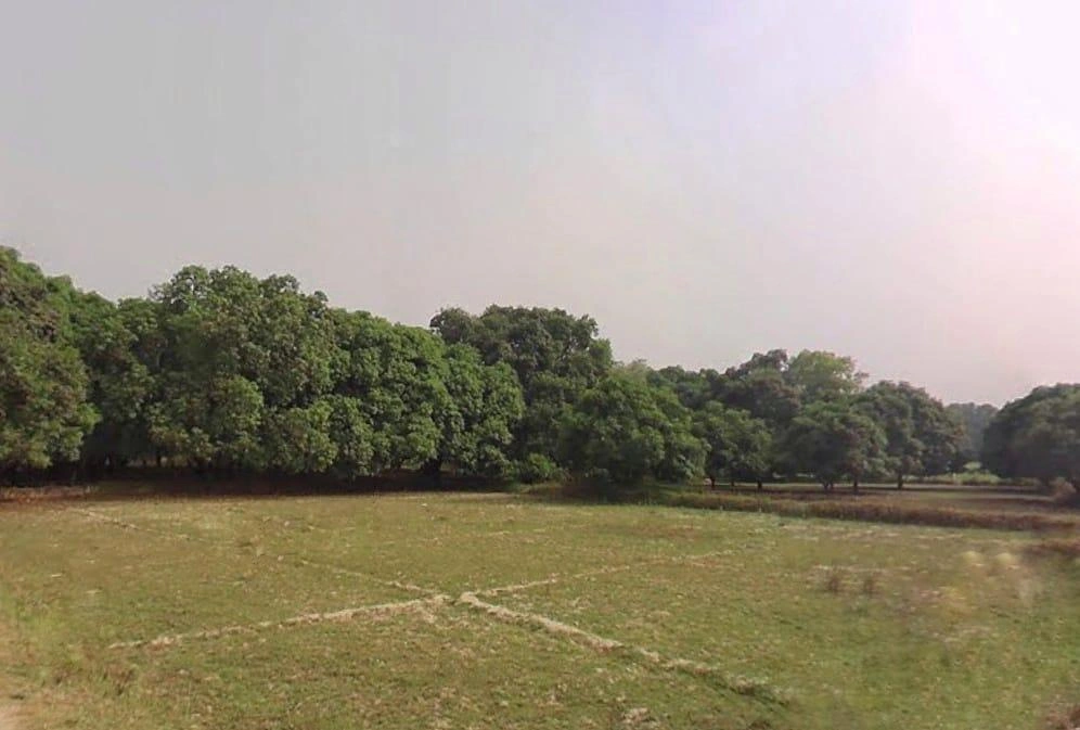 Malihabad, Uttar Pradesh 226102, India