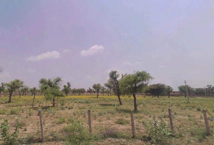 Bamboli, Rajasthan, India