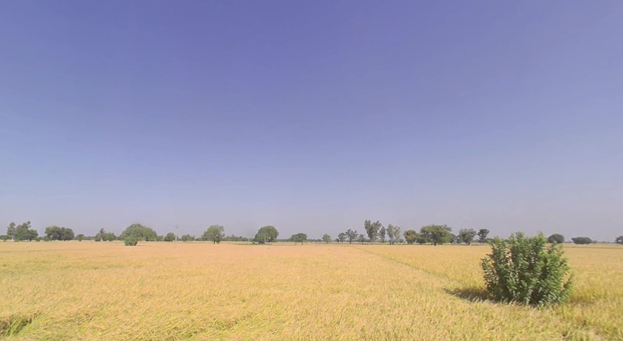 Onda, West Bengal 722144, India
