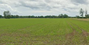 Bagaspur, Madhya Pradesh 464986, India preview 3