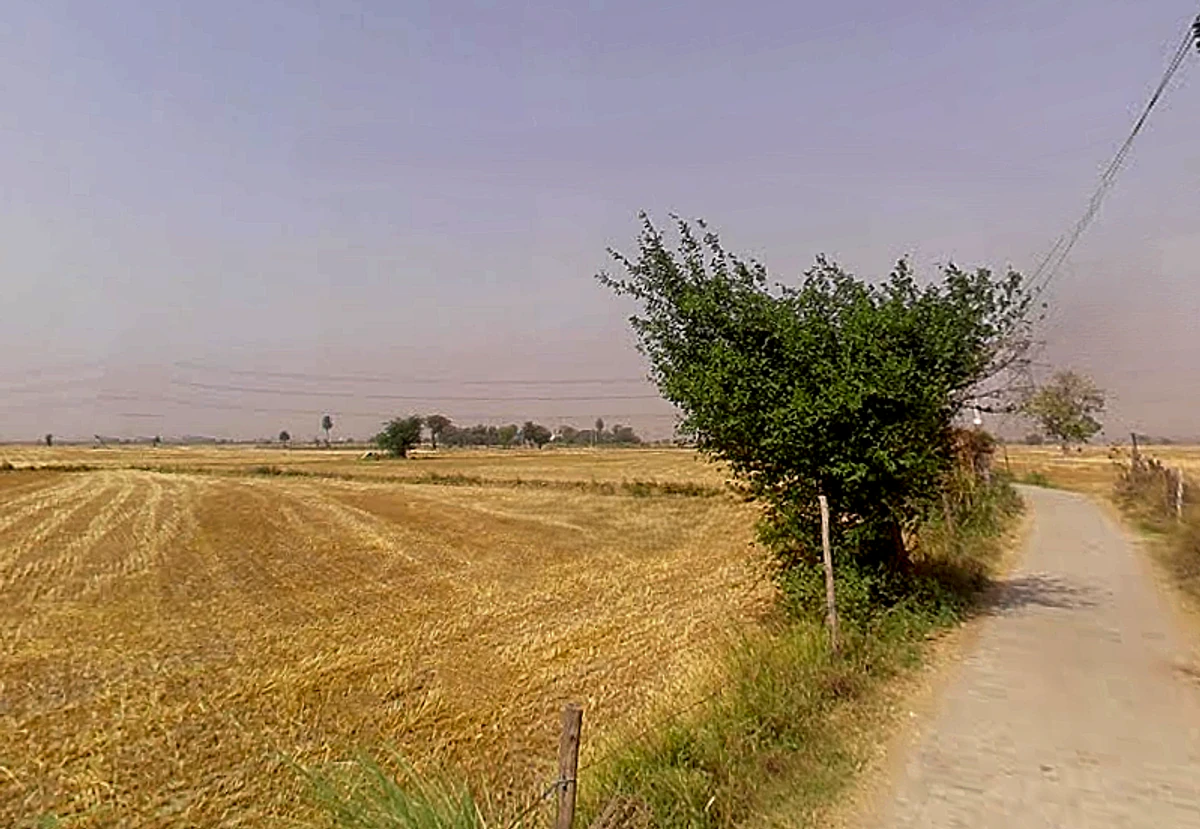 Kasna Village, Greater Noida, Uttar Pradesh 201312, India