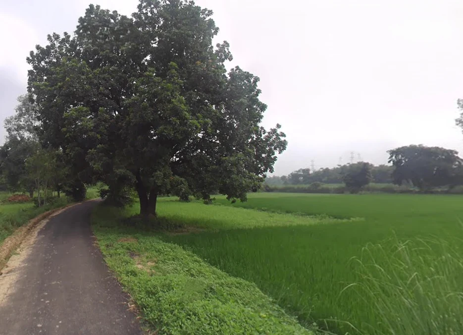 Deoie, Uttar Pradesh 224189, India