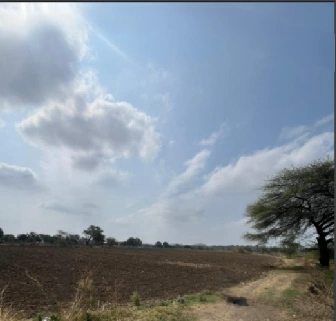 4CG4+R75, Bhopal, Madhya Pradesh, India