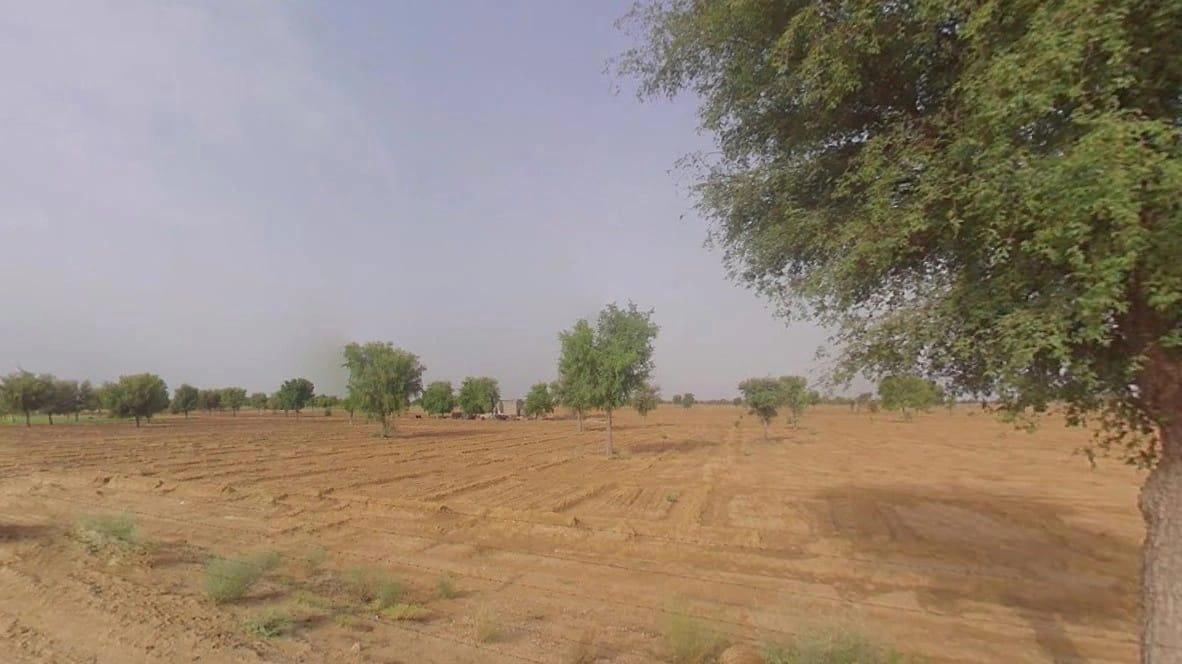 Sargoth, Rajasthan 332404, India