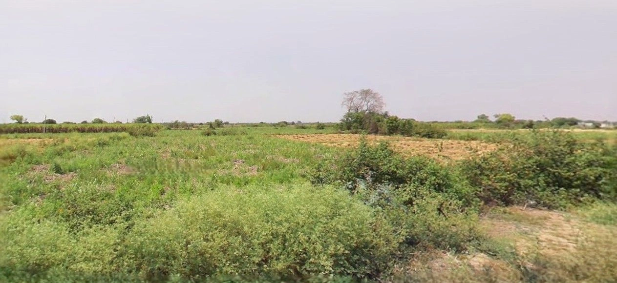 Kayamganj - Shamshabad Rd, Shamshabad, Uttar Pradesh, India preview 2