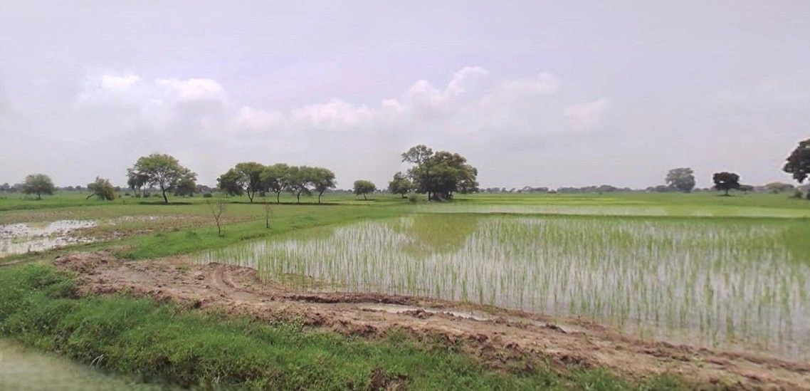 Modinagar, Uttar Pradesh, India preview 3