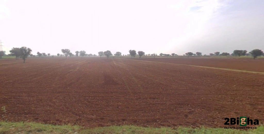 Barodameo, Rajasthan 301021, India