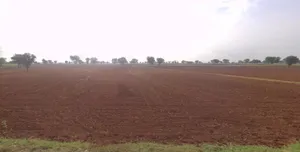 Barodameo, Rajasthan 301021, India preview 2