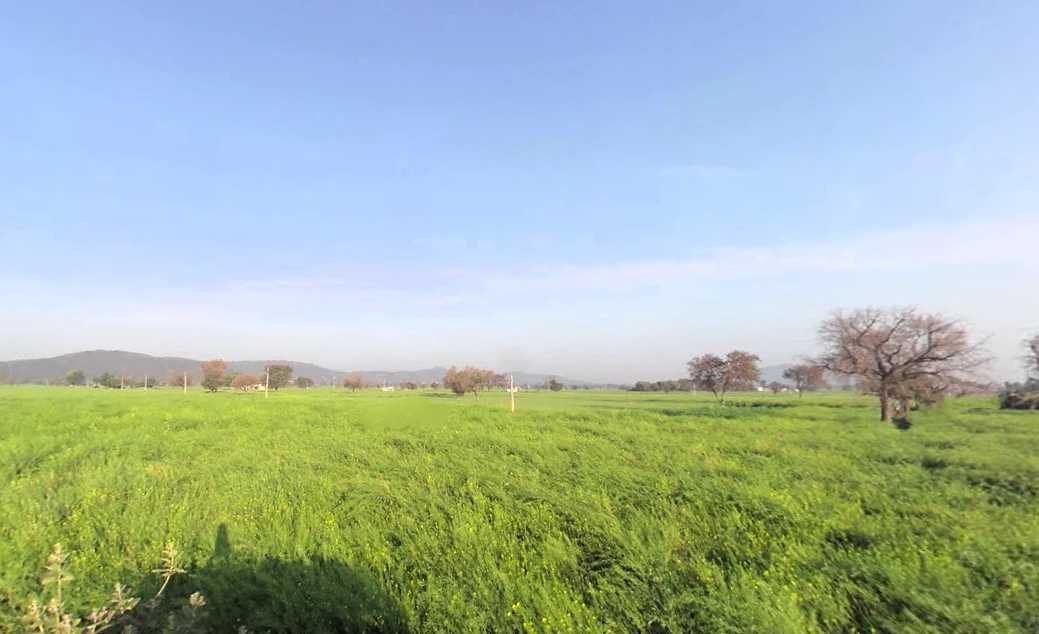 Bawana Gujar, Haryana 123101, India