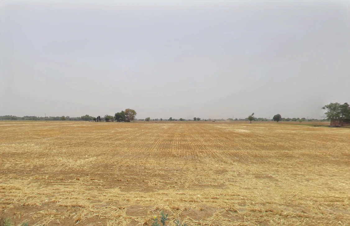 Para, Haryana 122105, India