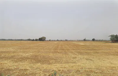 Para, Haryana 122105, India preview 2