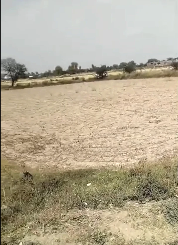 Tappal, Aligarh, Uttar Pradesh 202165, India