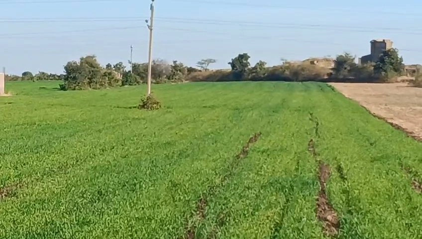 XWH6+7CV, Mehra, Madhya Pradesh 464221, India