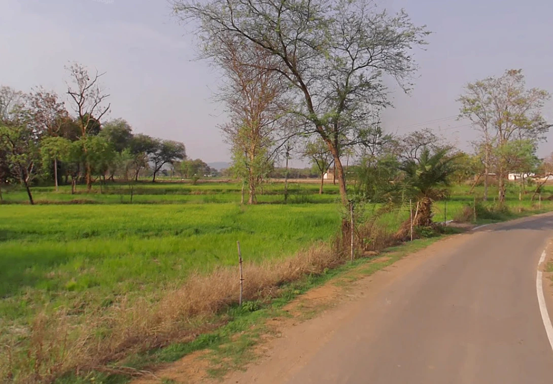 Jewara, Chhattisgarh 495554, India