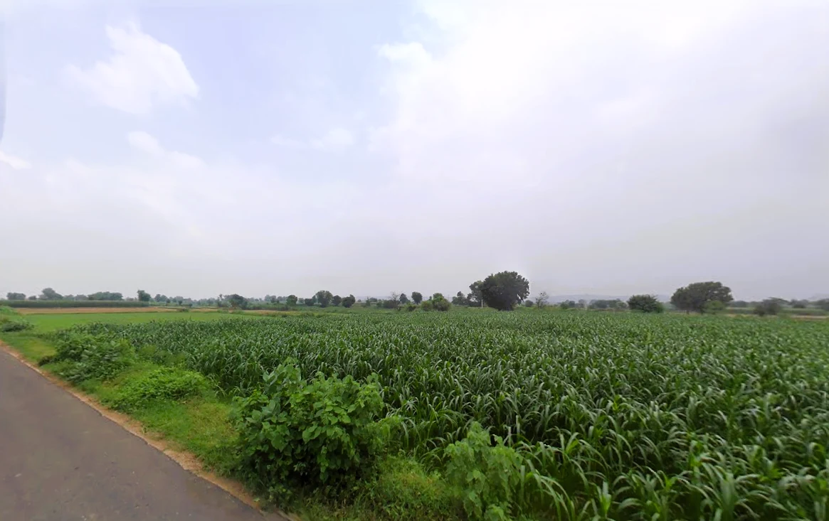 Tijara, Rajasthan 301411, India