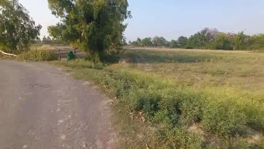 Mohanlalganj, Uttar Pradesh 226301, India preview 2