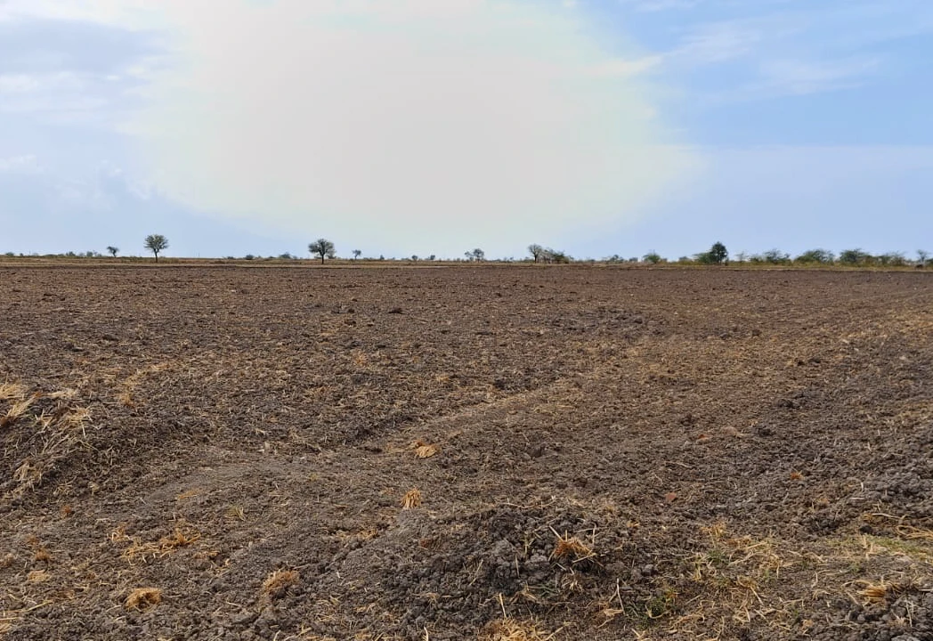 9-01-00, Radhari, Machhipura, Khambhat, Gujarat 388620, India