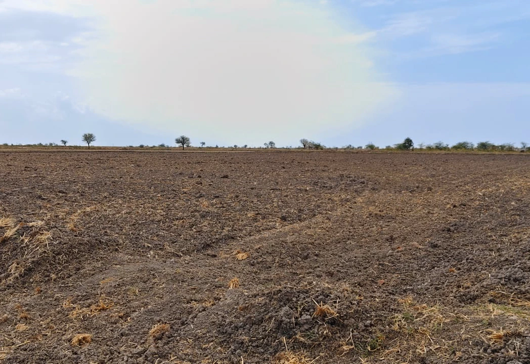 9-01-00, Radhari, Machhipura, Khambhat, Gujarat 388620, India
