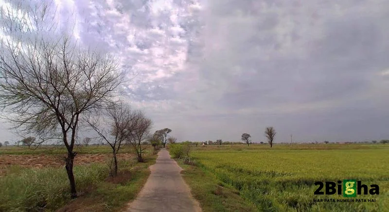 6RMJ+C7V, NH 86, Basaora, Uttar Pradesh 210427, India preview 3