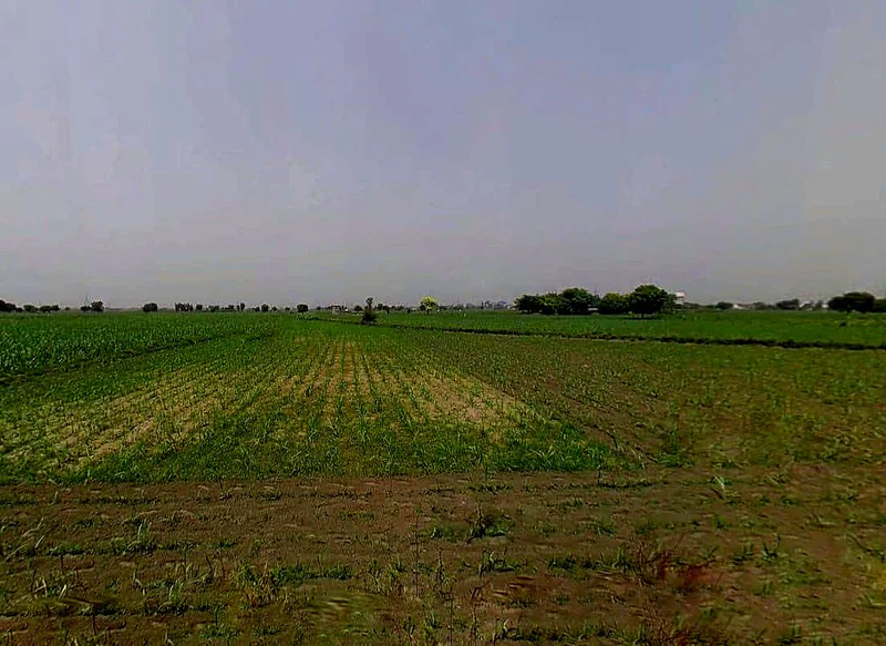 Daurala, Uttar Pradesh 250221, India preview 2