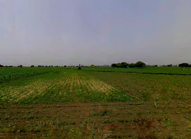 Daurala, Uttar Pradesh 250221, India preview 2