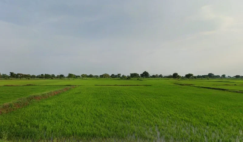 Churki, Chhattisgarh 493449, India preview 3