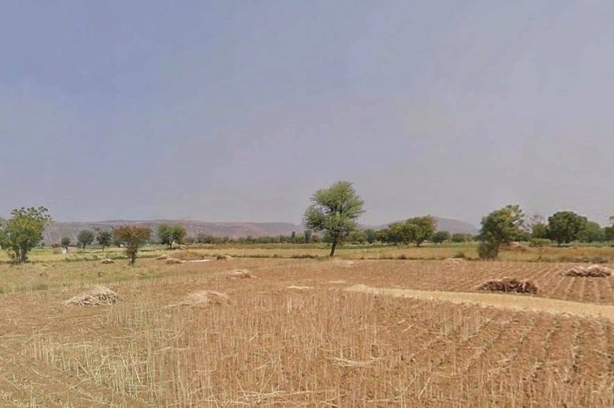 Chikani, Rajasthan 301028, India